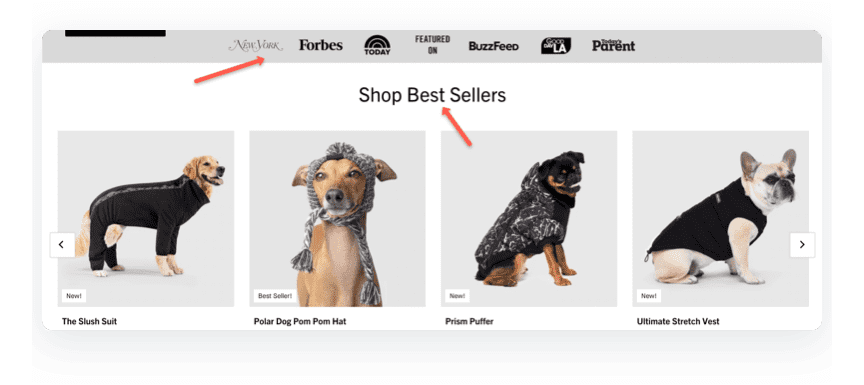 screenshot showing a content block featuring bestselling dog jackets